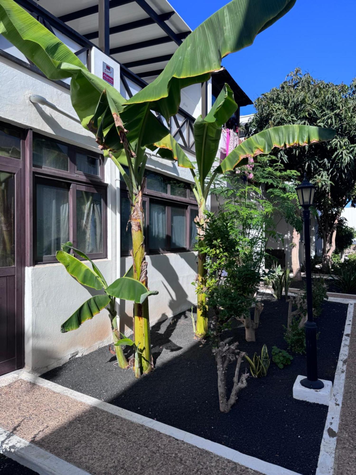 Casa Ana Puerto Del Carmen Tías Exterior foto
